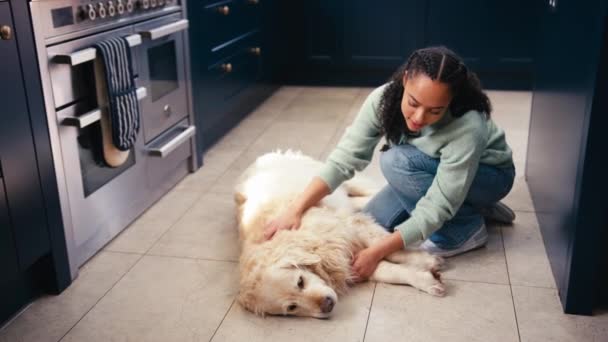 Evde Mutfakta Golden Retriever Köpeğini Yavaşça Vurarak Öldüren Genç Bir — Stok video