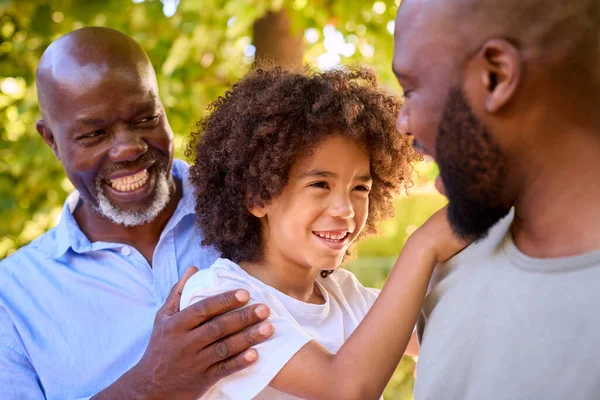 Portret Van Glimlachende Multi Generatie Mannelijke Familie Tuin Samen — Stockfoto