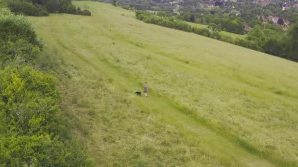 Drohnenbild Einer Frau Mit Schwarzem Labrador Hund Die Auf Streatley — Stockvideo