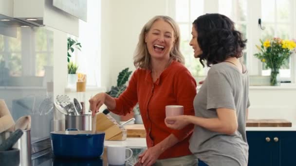 Liebevolles Gleichgeschlechtliches Reifes Paar Hause Beim Gemeinsamen Kochen Der Küche — Stockvideo