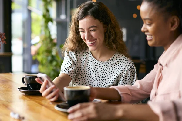 Unge Kvinnelige Venner Møte Kaffebar Ser Mobiltelefon Sammen – stockfoto