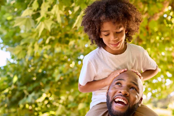 Father And Son In Summer Garden With Boy Riding On Dads Shoulders