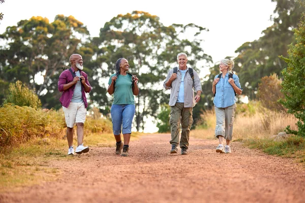 Gruppo Amici Anziani Attivi Che Godono Escursionismo Attraverso Campagna Camminando — Foto Stock
