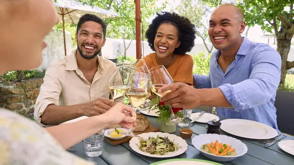Grupo Amigos Desfrutando Refeições Livre Vinho Visita Restaurante Vineyard Com Fotografia De Stock
