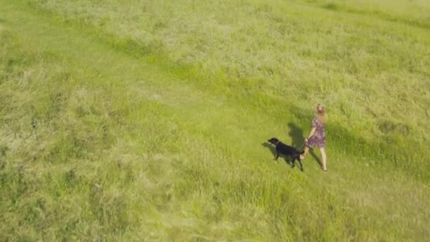 Drone Tiro Mulher Com Animal Estimação Cão Labrador Preto Andando — Vídeo de Stock