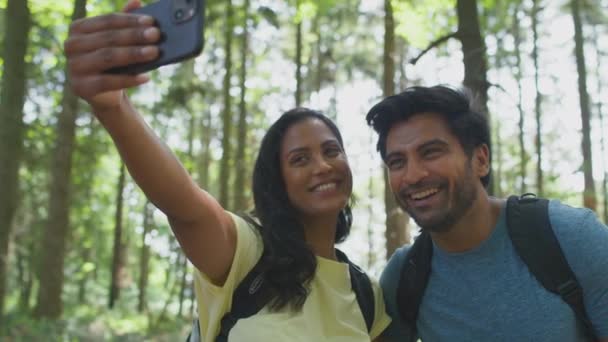 Yazın Ormanda Yürüyüş Yapan Bir Çift Cep Telefonuyla Selfie Çekiyor — Stok video