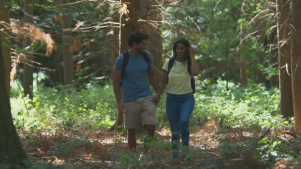 Casal Mãos Dadas Usando Mochilas Caminhada Explorando Natureza Floresta Verão — Vídeo de Stock