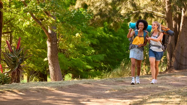 Gezintide Sırt Çantalı Iki Bayan Arkadaş Kırsalda Birlikte Yürüyorlar — Stok fotoğraf
