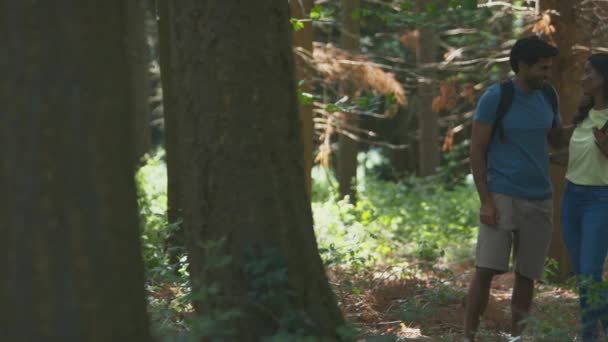 Paar Mit Rucksack Auf Spaziergang Durch Die Natur Sommerwald Aufgenommen — Stockvideo