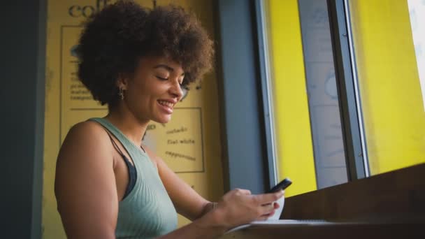 Disparo Ángulo Bajo Cliente Femenino Sentado Escaparate Cafetería Usando Teléfono — Vídeos de Stock