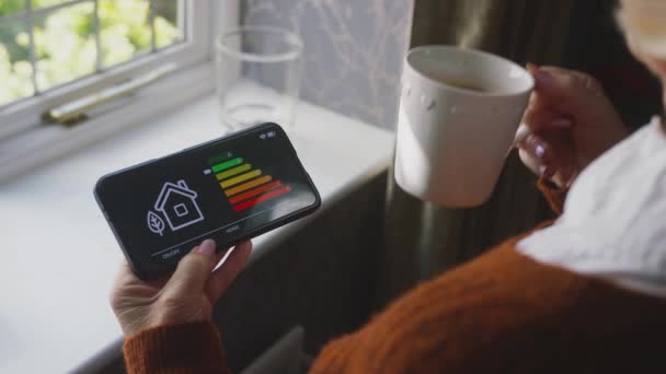 Femme Âgée Debout Près Fenêtre Tenant Compteur Efficacité Énergétique Maison — Video