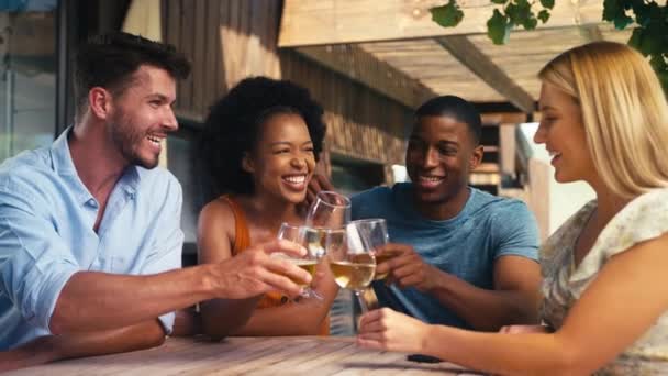 在节假日或在家里喝酒 一起欢呼的时候 一群文化多元的朋友在户外微笑着 动作缓慢 — 图库视频影像