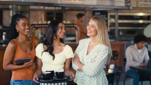Retrato Del Equipo Personal Femenino Multicultural Que Trabaja Restaurante Cafetería — Vídeo de stock