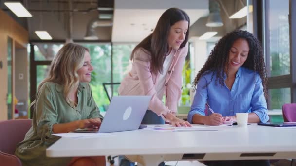 Multi Budaya Perempuan Pertemuan Tim Bisnis Duduk Meja Kantor Modern — Stok Video