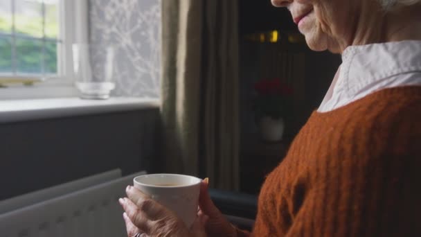 Orolig Äldre Kvinna Sitter Rullstol Med Energiräkning Genom Kylare Hemma — Stockvideo