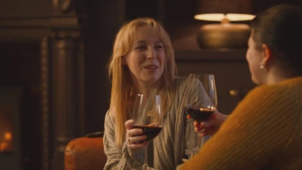 ソファーでリラックスして 居心地の良い火の前でワインで乾杯する2人の女性の友人 — ストック動画