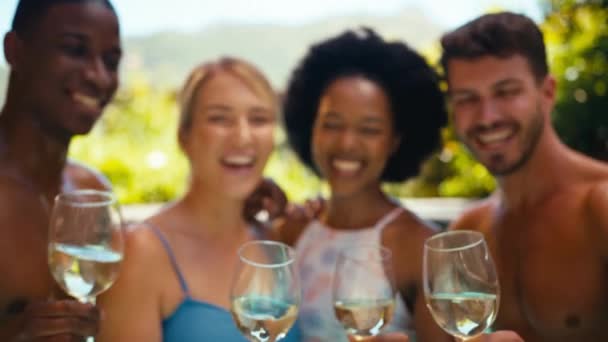 Sonriente Grupo Amigos Vacaciones Piscina Bebiendo Vino Haciendo Vítores Junto — Vídeo de stock