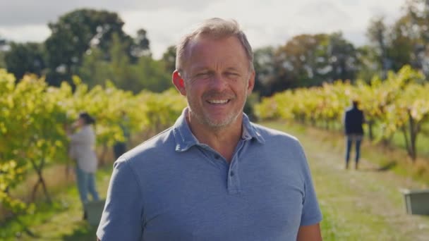 Portrait Homme Adulte Propriétaire Vignoble Dans Champ Avec Des Ouvriers — Video