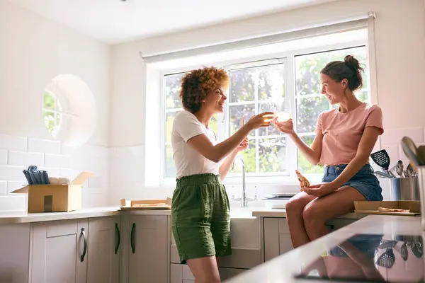 2人の女性の友人または同じセックスカップルは 新しい家で移動中の日にピザとワインで祝います — ストック写真