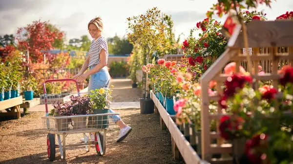 Vrouw Met Trolley Buiten Tuin Centrum Kiezen Planten Het Kopen — Stockfoto