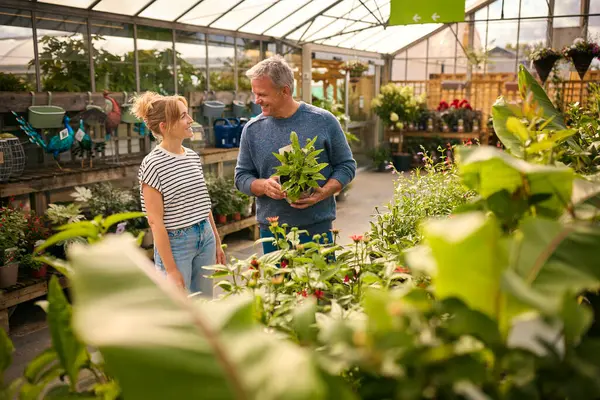 Пара Внутри Теплицы Садовом Центре Выбирает Покупает Растения — стоковое фото
