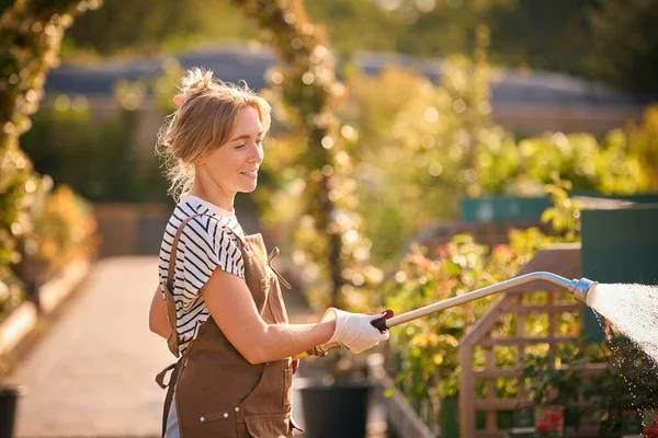 Woman Working Outdoors Garden Centre Watering Plants — Stock Photo, Image