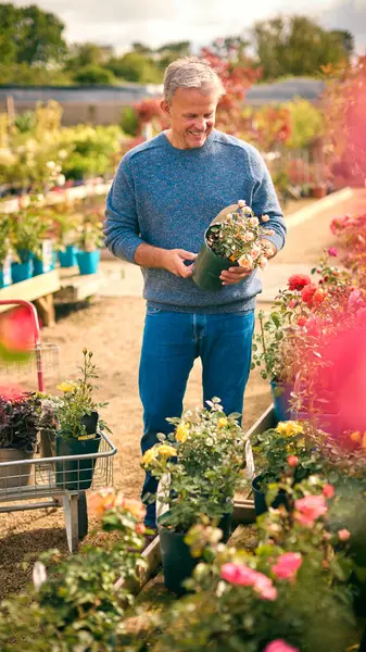 Mature Man Trolley Outdoors Garden Centre Choosing Plants Buying Rose — Stock Photo, Image