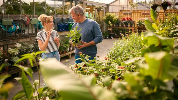 园艺中心温室内的夫妇选择与购买植物 — 图库照片