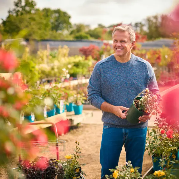 Зрелый Человек Тележкой Открытом Воздухе Садовом Центре Выбирает Растения Покупает — стоковое фото