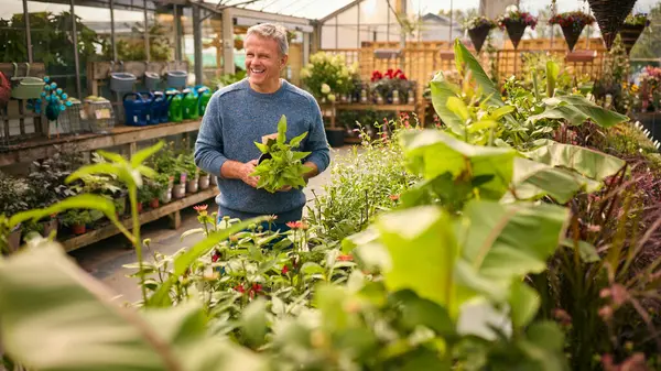 ガーデンセンターの温室の中の成熟した男の選択と購入植物 — ストック写真