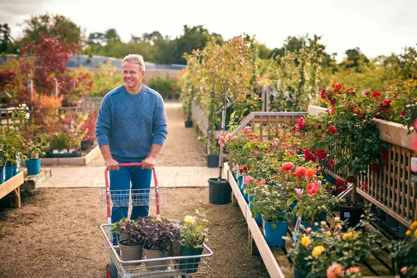 Reifer Mann Mit Einkaufswagen Freien Gartencenter Wählt Pflanzen Und Kauft — Stockfoto