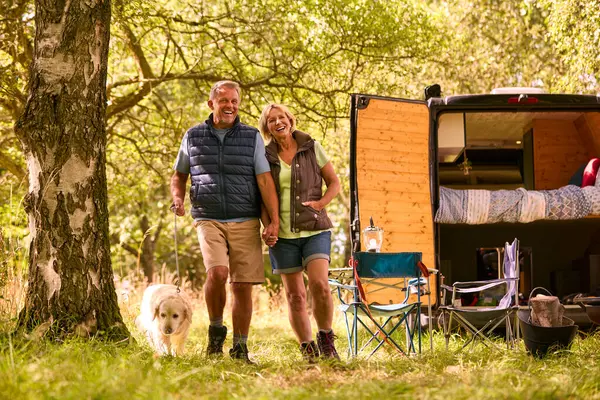 Casal Sênior Acampar Campo Com Que Toma Cão Labrador Para — Fotografia de Stock