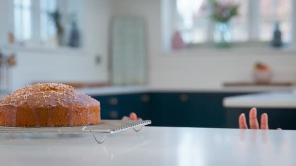 Mutfakta Bir Kız Tezgahta Serpiştirilmiş Yapımı Pastaya Bakıyor Ağır Çekimde — Stok video