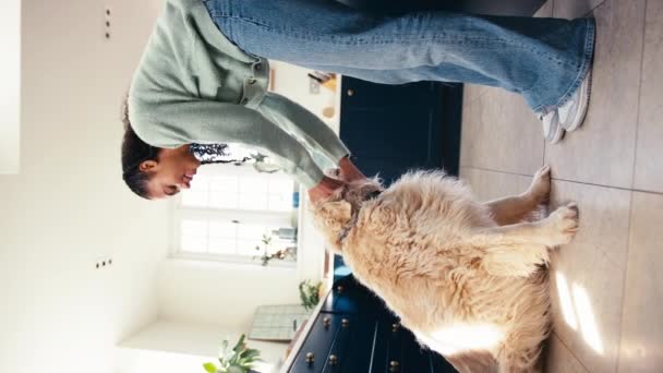 Handheld Shot Teenage Girl Home Kitchen Stroking Pet Golden Retriever — Stock video