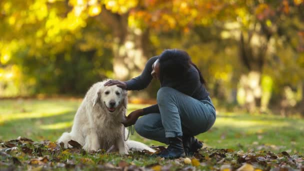 在秋天的乡间散步时 一个微笑的女人抚摸着宠物狗 慢动作射击 — 图库视频影像