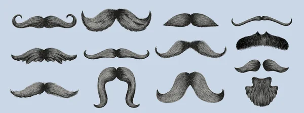 Grand Ensemble Différents Styles Moustaches Masculines Réalistes Chevron Dessiné Main — Image vectorielle