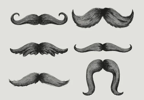 Set Different Styles Male Realistic Mustaches Hand Drawn Chevron Dali — Stock Vector