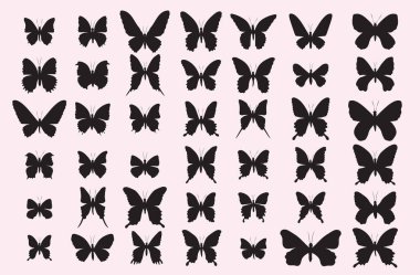 Kelebek siyah siluetleri. Kelebek, şablon silueti, koleksiyon tasarımı. Beyaz arkaplanda izole edilmiş vektör.