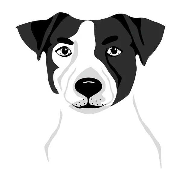 Jack Russell Terrier Puro Filhote Cachorro Vetor Ilustração Tatuagem —  Vetores de Stock