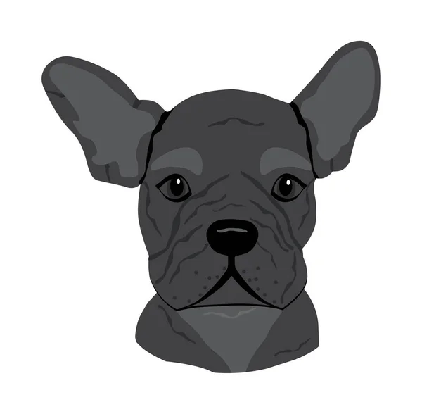 Cute Dog Muzzle Francuskiego Buldog Króliczymi Uszami Siedzi Kieszeni Shirt — Wektor stockowy