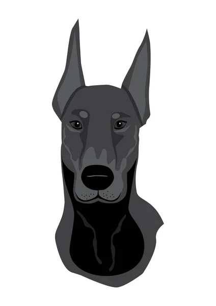 ドバーマン犬の顔 孤立したアウトラインベクトルイラストタトゥー — ストックベクタ