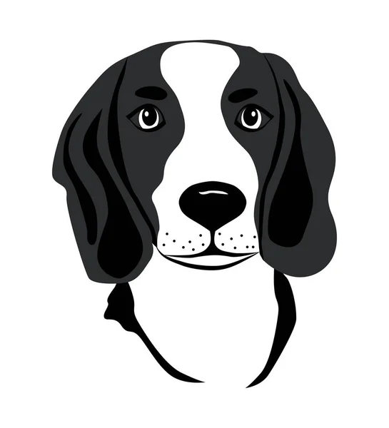 Beagle Hund Isoliert Skizzierte Vektorillustration Tätowierung — Stockvektor