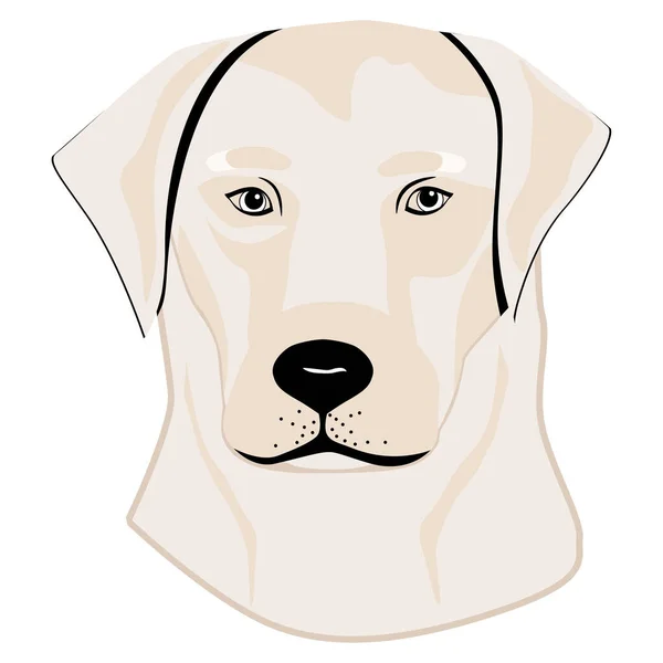 Labrador Retriever Silhouette Art Linéaire Modèle Gros Plan Clip Art — Image vectorielle
