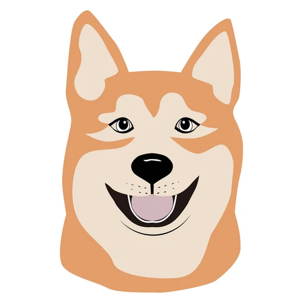 Schnauze Hunderasse Akita Inu Gesicht Symmetrisch Nach Vorne Gerichtet Skizze — Stockvektor