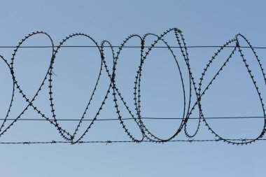 barbed wire steel wall against the immigations photo