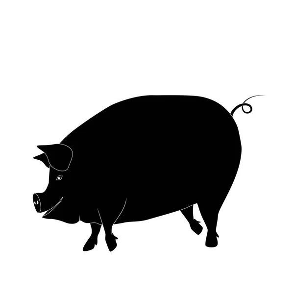 Grafisch Varken Varkensvlees Label Voedsel Mear Vector Dier Tatoeage — Stockvector