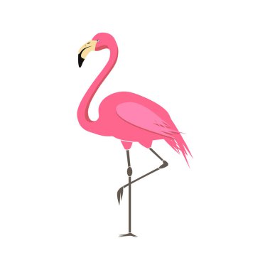 Beyaz arkaplanda izole edilmiş pembe flamingo vektör çizimi.