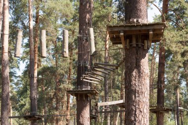 tırmanma ormanı veya yüksek tel park ve doğa arka plan fotoğrafı ip köprü