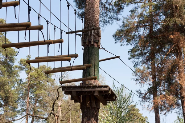 アドベンチャーパークのクライミングギアは ロッククライミングやロープロードの障害物を渡すに従事しています 空の写真に対して松林の中のロープパーク — ストック写真