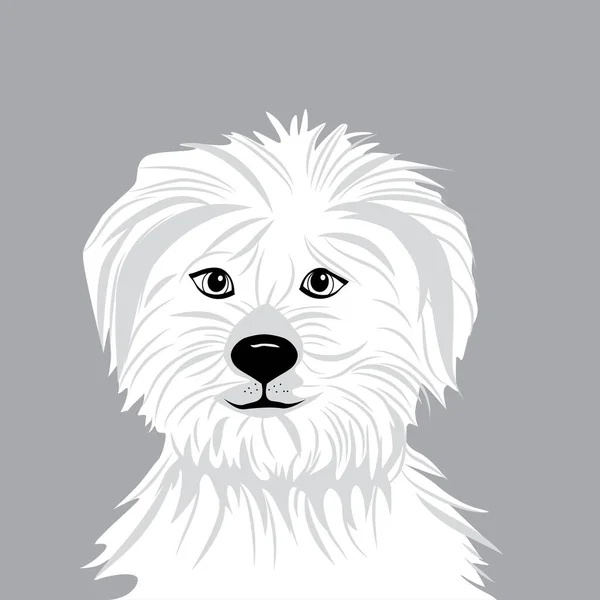 白いバイコンのフリーズベクトル犬です — ストックベクタ